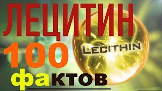 На рыбалку с ребенком правила и рекомендации