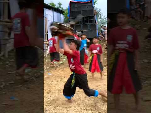 Gawat Bantenge Tarung #jaranan #mberot #bantengan #shortvideo #shorts #short