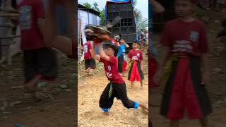 Download lagu Gawat Bantenge Atraksi #jaranan #mberot #bantengan #shortvideo #shorts #short mp3