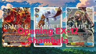 Digimon World Shambala EX12 Box Opening #digimontcg