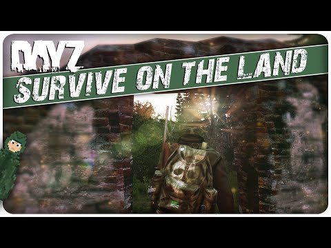 25 NOMAD Tricks for SOLO Players in 3 Minutes | DayZ