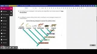 Cladogram Analysis Activity with Annotations