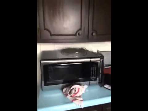 The MICROWAVE MELTDOWN!