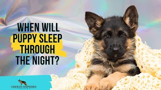When Will Puppy Sleep Through the Night?