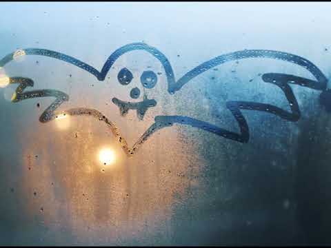 Abends, wenn es dunkel wird und die Fledermaus schon schwirrt (Seidel/Twellmann)