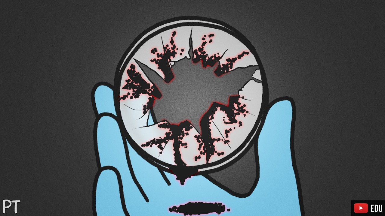 A verdade sobre as placas de Petri 🧫 | Minuto da Terra