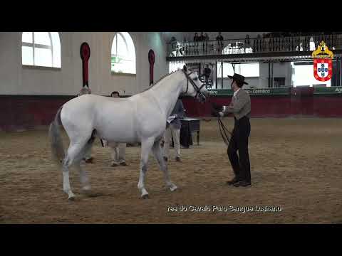 231021 11 Paco SC - Aprovação de Reprodutores