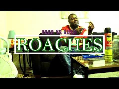 Transaction Jacksun | Roaches Prod by Mr50Bad