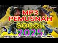SUARA PIKAT ️ Burung Sogon Terbaru Kalem Tapi Pasti