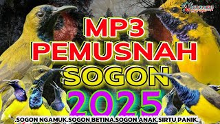 Download lagu SUARA PIKAT ‼️ burung sogon terbaru .kalem tapi pasti mp3 Download lagu SUARA PIKAT ‼️ burung sogon terbaru .kalem tapi pasti mp3