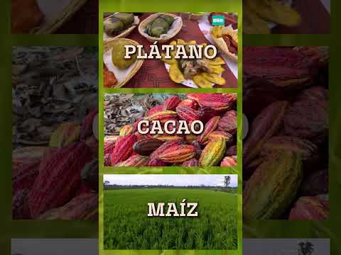 En Puerto Inca, familias agricultoras enfrentan 4m3n4z4s de mu3rt3 por parte de mineros 1l3g4l3s
