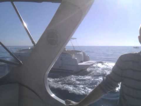 Mattinata stupenda...(primaverile)