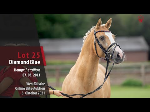 Online Elite-Auktion Lot 25 Diamond Blue Hengst v. FS Daddy Cool - FS Golden Moonlight