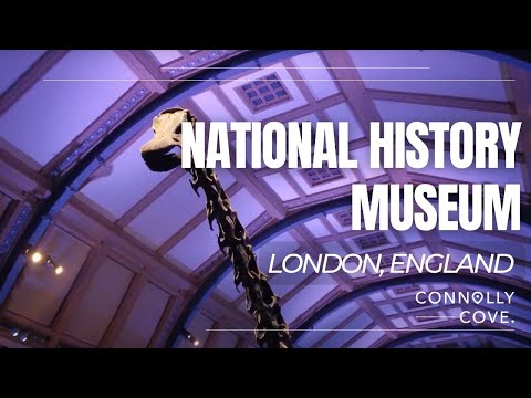 The Natural History Museum | London | Museums in London | England | Things To Do In London