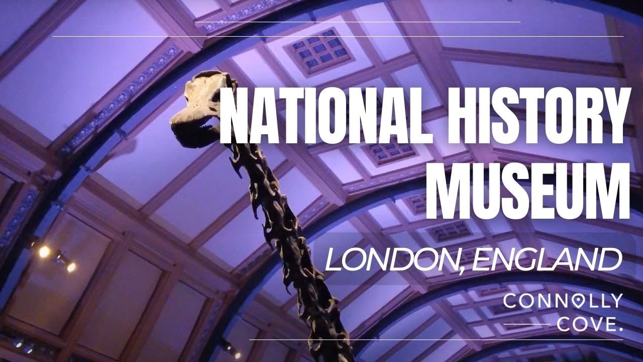 Discover the captivating highlights of Natural History Museum.