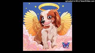 Barbara Opsomer - Je sors ce soir (Radio Edit)