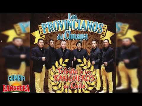 Los Provincianos del Choapa Mix 2022 || Cumbias Y Rancheras Exitos Mix 2022