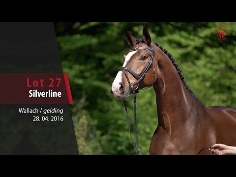 27 Silverline Wallach v. Sir Heinrich - Ehrenpreis