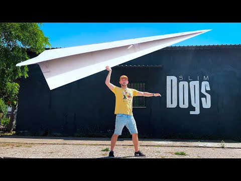 Entro nel GUINNESS WORLD RECORD? - Cane Secco