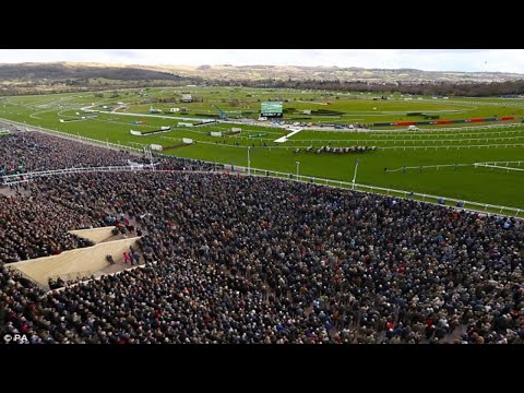 Mister Whitaker wins Close Brothers Novices’ Handicap Chase at Cheltenham in photo finish