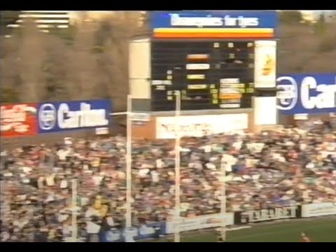 Round 14 Fitzroy VS Carlton 1992 Craig Bradley Greg Williams