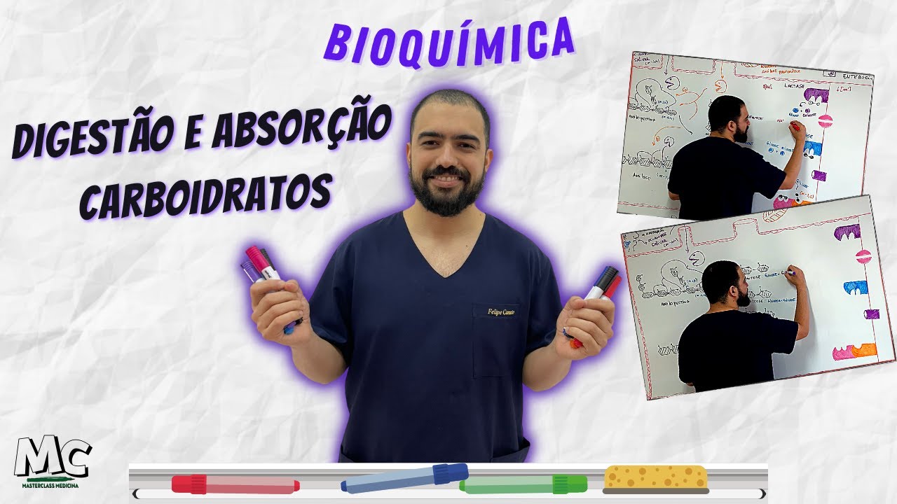 Bioquímica: Digestão Absorção dos Carboidratos