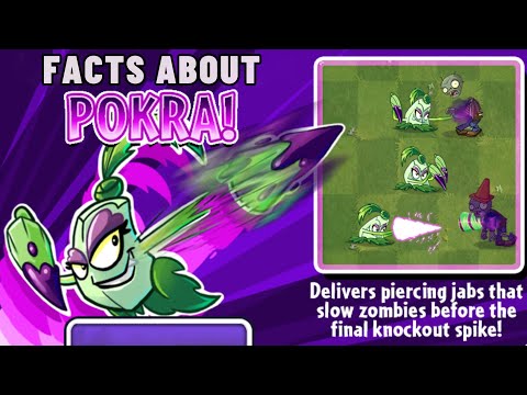 facts about pokra from pvz2