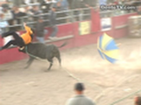Bullfights - Hits & Misses