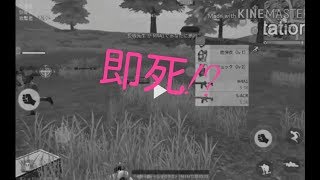 (荒野行動)即死?ルーム開いてみた!!