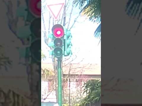 Guardate questo semoforo di casorate truffa