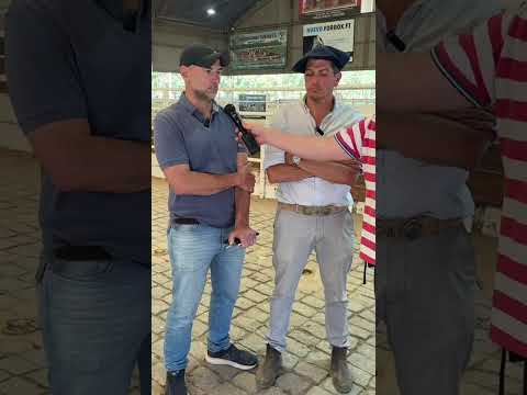 Análisis del remate de hacienda Consignaciones Córdoba 9/12/2025.