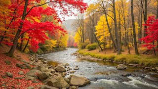 Healing music therapy 🍂 Nature sounds for stress release, Insomnia relief with Autumn Melodie