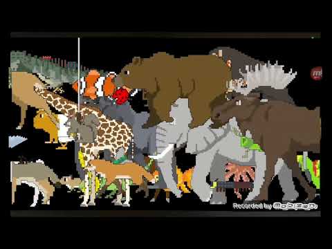 Animals Book Version Stampede - @TheKidsPictureShow