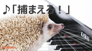 BGM素材 (7/20) | フリーBGM・音楽素材 MusMus