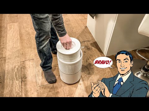 The Flintar Core 300 is a PERFECT Levoit Replacement