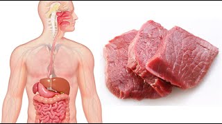 ماذا يحدث لجسمك عند تناول اللحوم الحمراء ؟ ماذا يحدث لجسمك عند تناول اللحوم الحمراء ؟
