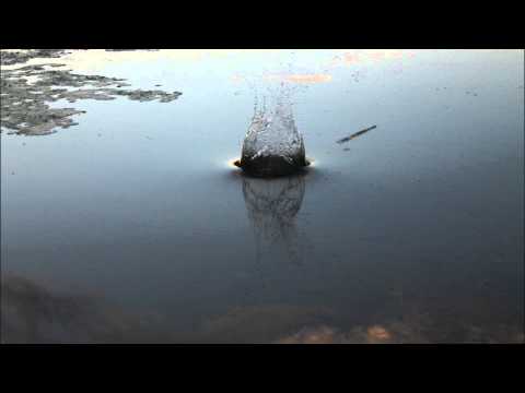 xKore ft. Zoe & Naomi - Need You (Centra Remix)