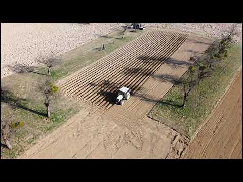 Lorenzhof - Kartoffelanbau 03/21