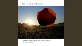 Woher wei ich, was wirklich wahr ist?