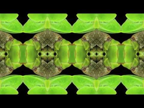 Relativ - Tomorrow Lasts Forever (Out Of Range Remix)