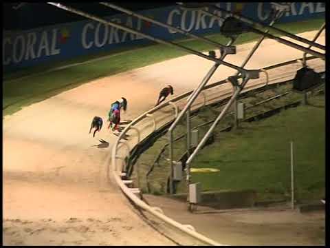 2017 CORAL SUSSEX PUPPY TROPHY FINAL - T6 DROOPYS NIRVANA