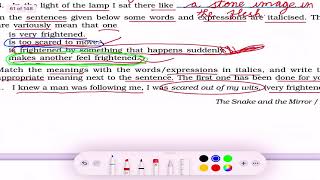 The Snake and the Mirror Exercise (Thinking About Language) | Class 9 English Chapter 5 Exercise