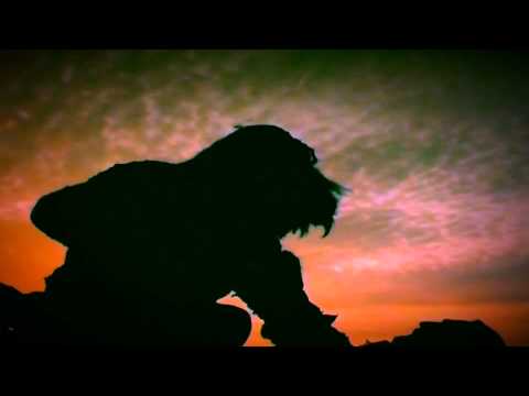 Video thumbnail jAJh1_hwO3g