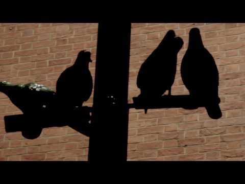 Annie Hogan  - Ghosts Of Soho (Official Video) ft Celine Hispiche