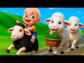 Baa Baa Black Sheep Song New Compilation Bingo Dog Song Baby Cartoon Songs Rhymes Bebe Bobo