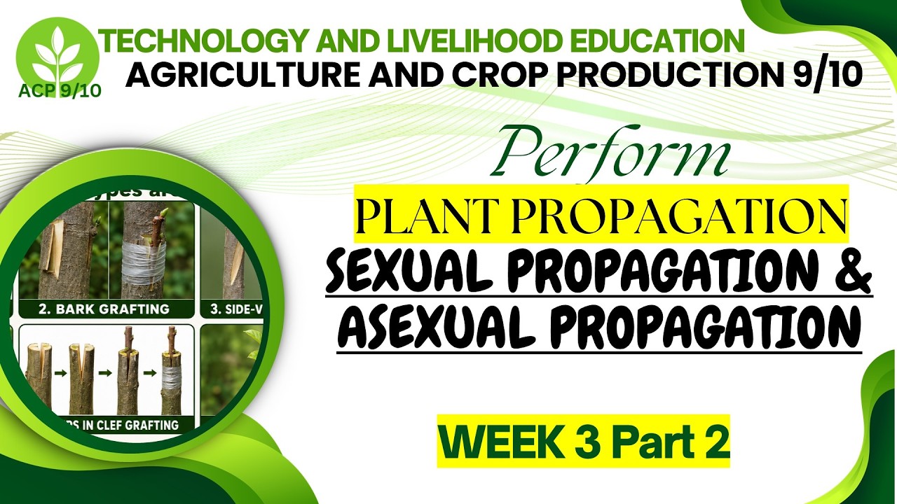 TLE AFA 9/10: ACP Week 3 Part 2: Plant Propagation: SEXUAL PROPAGATION AND ASEXUAL PROPAGATION