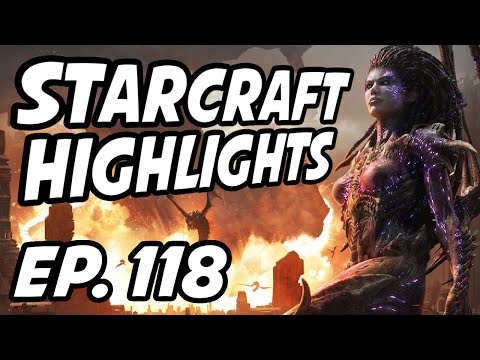 StarCraft Daily Highlights | Ep. 118 | BASETRADETV, Pokebunny, Avilo, dethSC, EmStarcraft, ESL_SC2