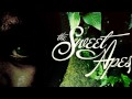The Sweet Apes - Police Cops (2012) [HQ] [Lyrics ...