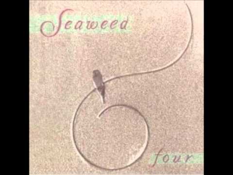 Seaweed - Chalk The Cracks