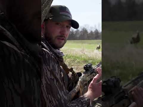 TURKEY DECOY TIPS 101